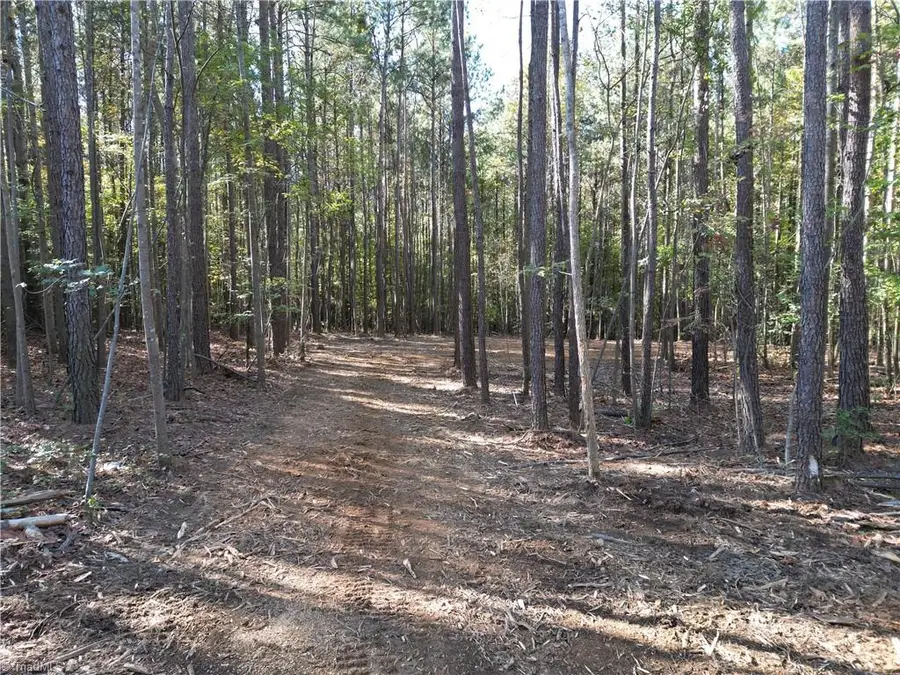 Lot 16 Woods Road, Seagrove, NC 27341 - #2