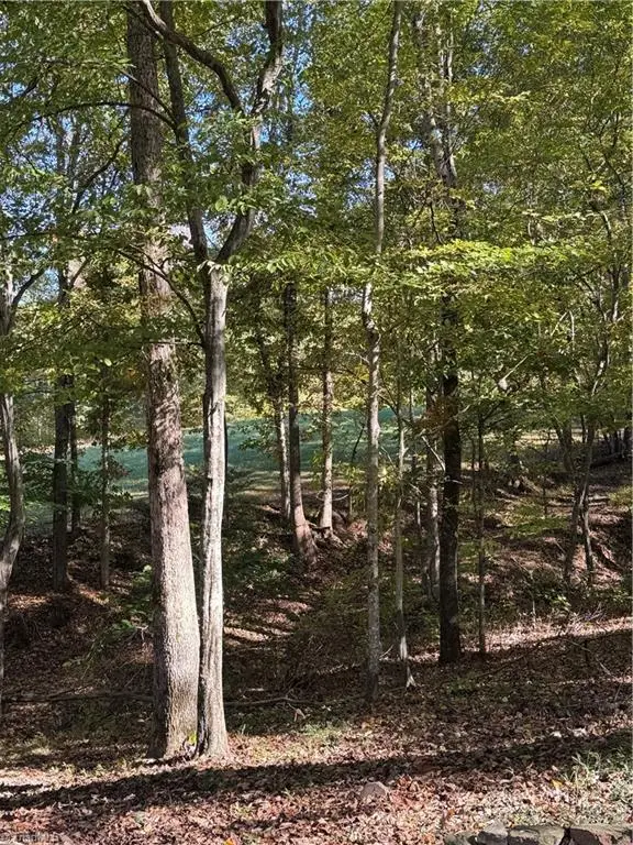 0 Ymca Camp Road, King, NC 27021 - #2
