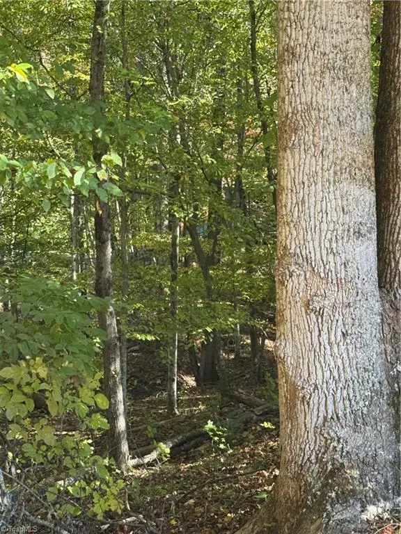 0 Ymca Camp Road, King, NC 27021 - #3