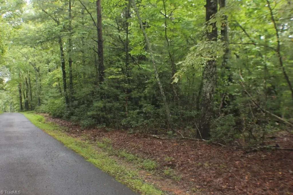 0 N Morgan Road, Lowgap, NC 27024 - Image #1