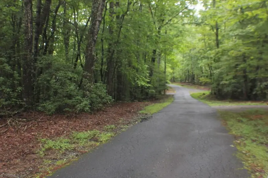 0 N Morgan Road, Lowgap, NC 27024 - Image #3