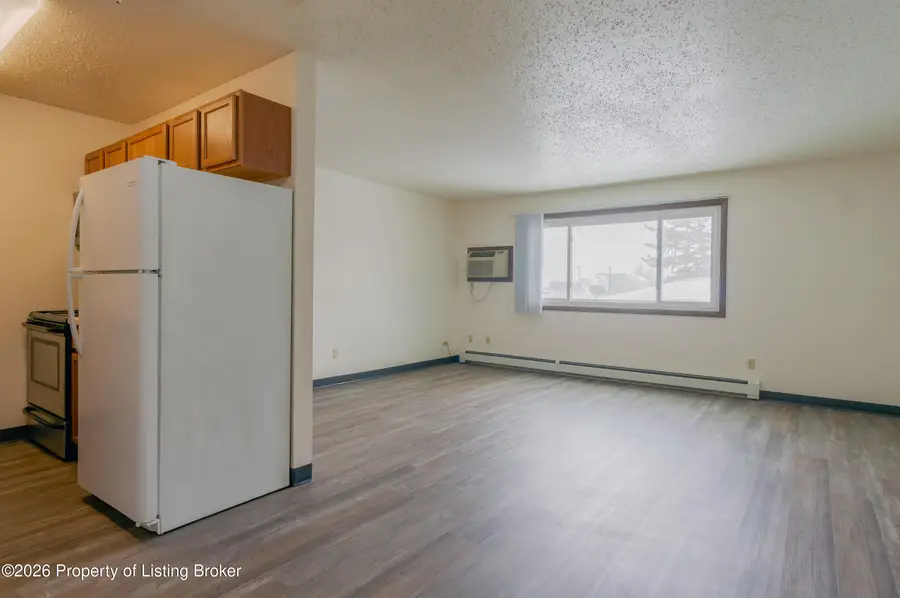 127 8th Avenue, Dickinson, ND 58601 - #2