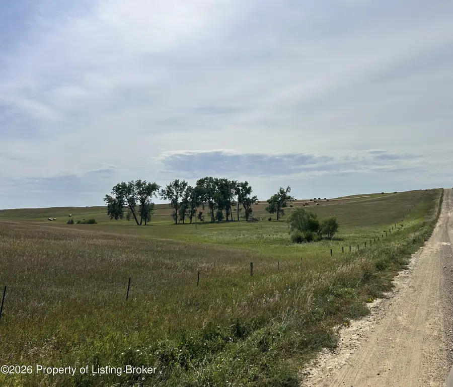 14th Street, Reeder, ND 58649 - #2