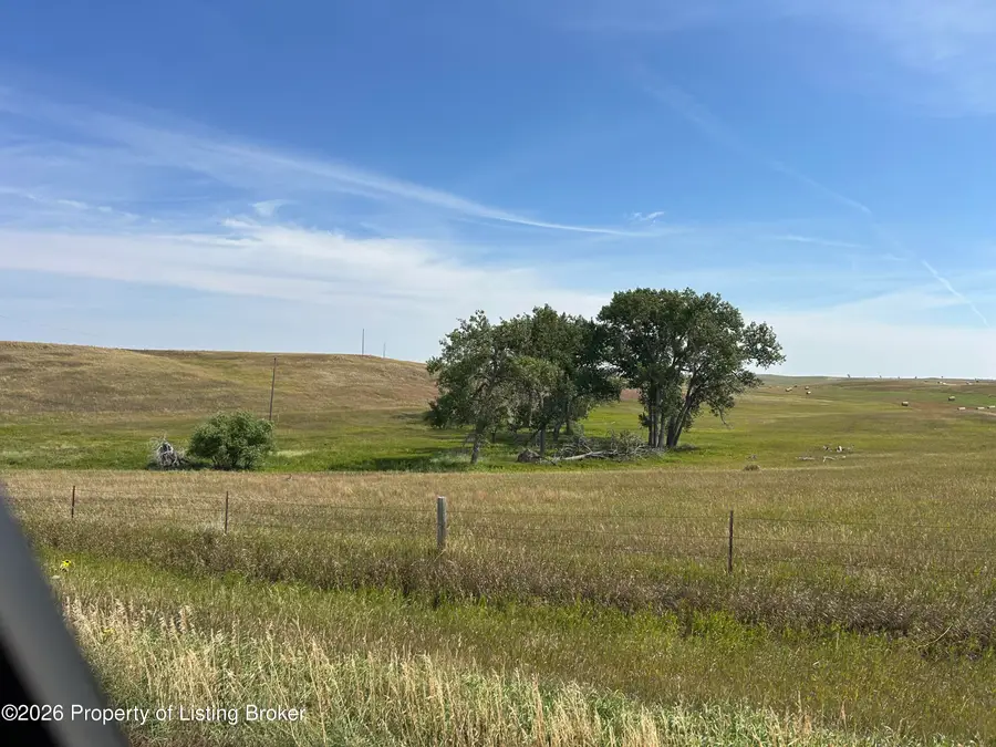 14th Street, Reeder, ND 58649 - #3