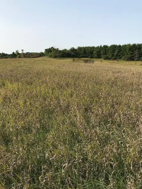 TBD Island Estates (site12) Dr Nw, Pine Island, MN 55963