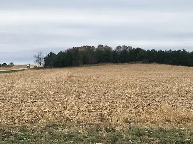 TBD New Haven (site 18) Road Nw, Pine Island, MN 55963 - Image #1