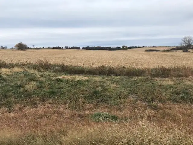 TBD New Haven (site 18) Road Nw, Pine Island, MN 55963 - Image #3