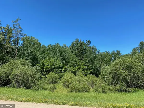 TBD (L11,B2) Grant Hills Road Sw, Bemidji, MN 56601