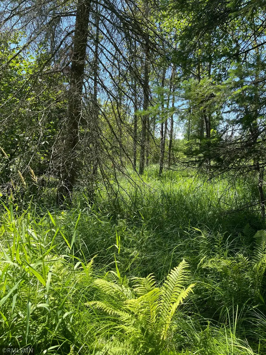 TBD 70th Street Ne, Remer, MN 56672 - #2