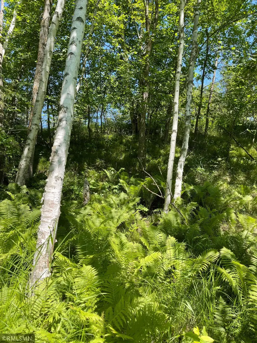 TBD 70th Street Ne, Remer, MN 56672 - #3