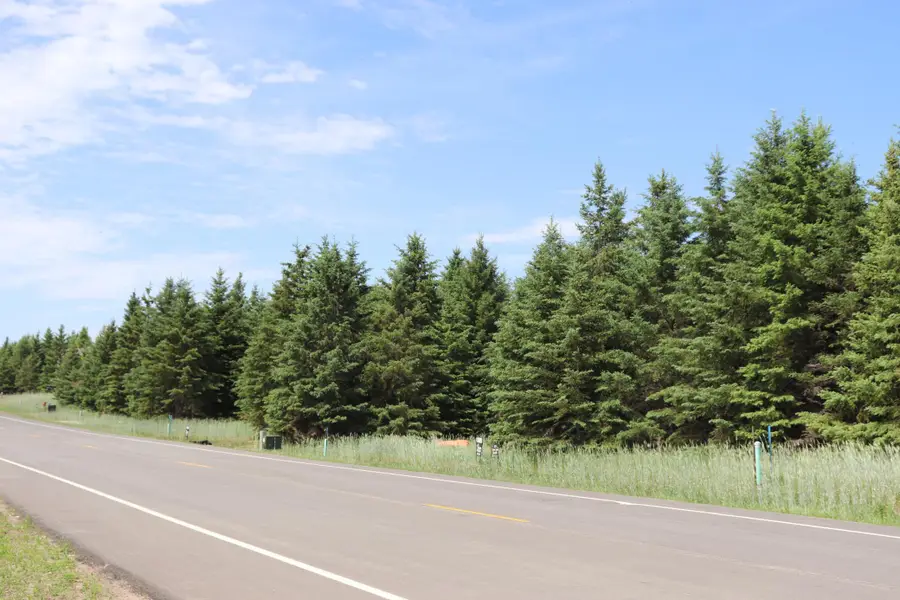 1974 Long Pine Drive, Detroit Lakes, MN 56501 - Image #3