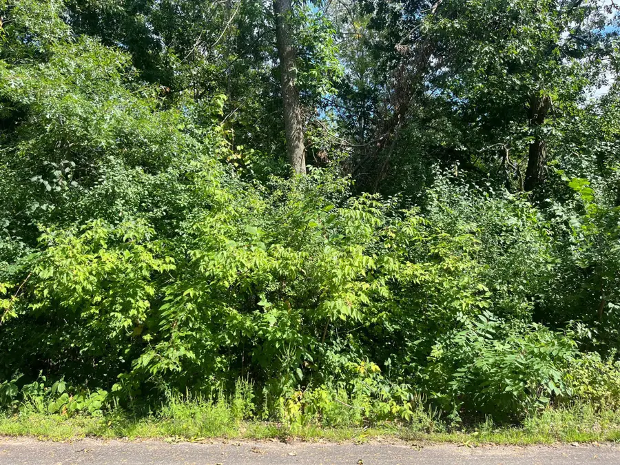 23xxx 182nd Street, Big Lake, MN 55309 - #2