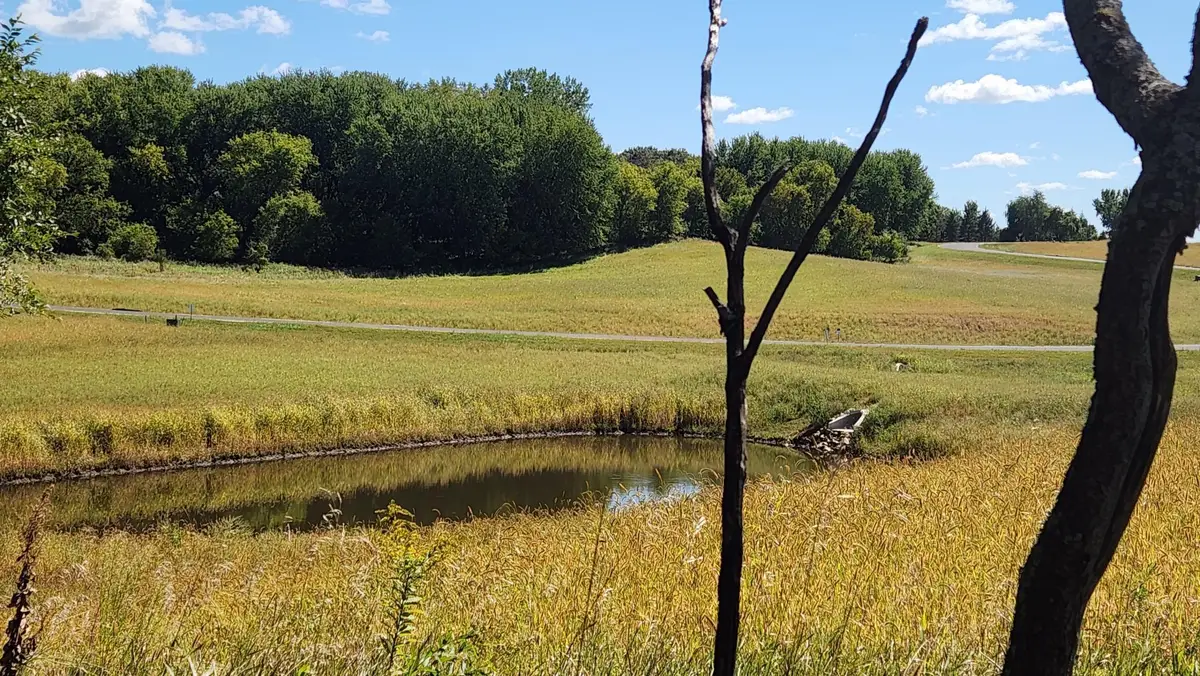 L8B1 Miller Place Nw, Rochester, MN 55901 - #1