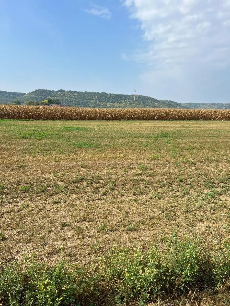 1512 River Drive S, Wabasha, MN 55981 - Image #2