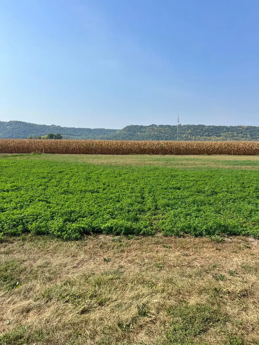 1512 River Drive S, Wabasha, MN 55981 - Image #3