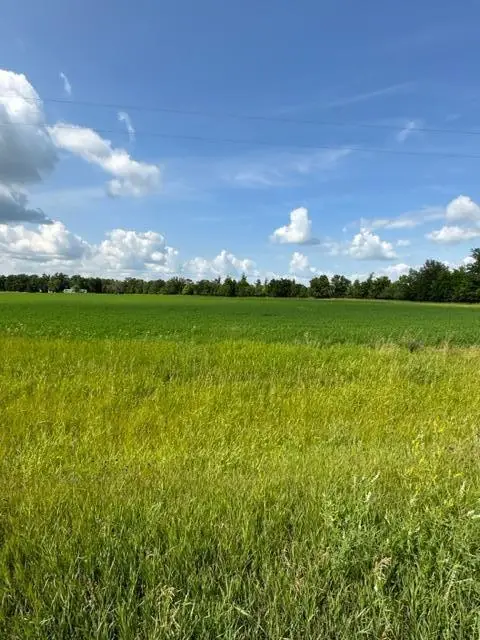 TBD Sorteberg Drive, Thief River Falls, MN 56701