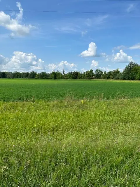 TBD Sorteberg Drive, Thief River Falls, MN 56701 - Image #3