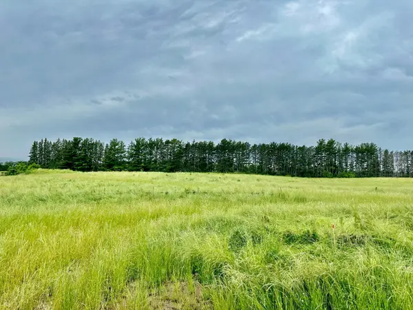 2535 Pioneer Trail, Medina, MN 55340