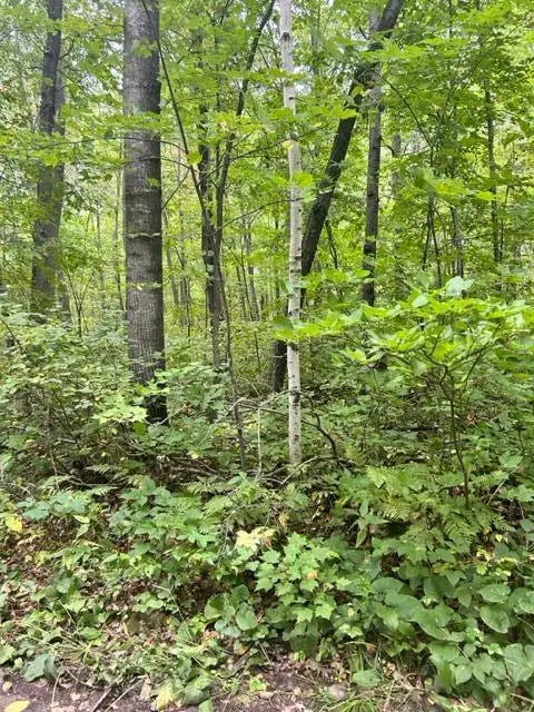 xxx Opal Lane, Cushing, MN 56443 - Image #1