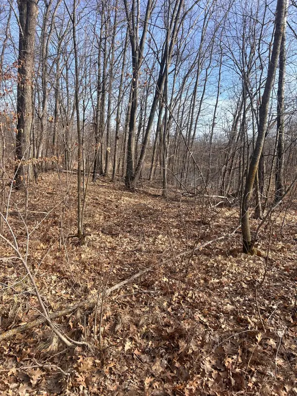 xxx Norway Trl, Cushing, MN 56443