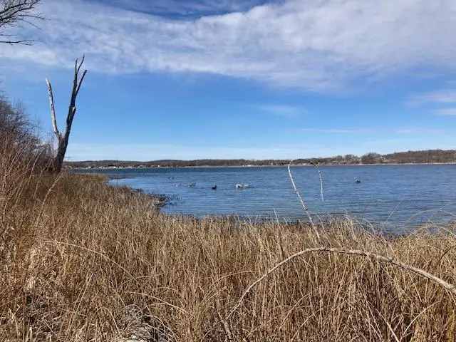 XXX Loon Point Drive Sw, Kensington, MN 56343 - #3