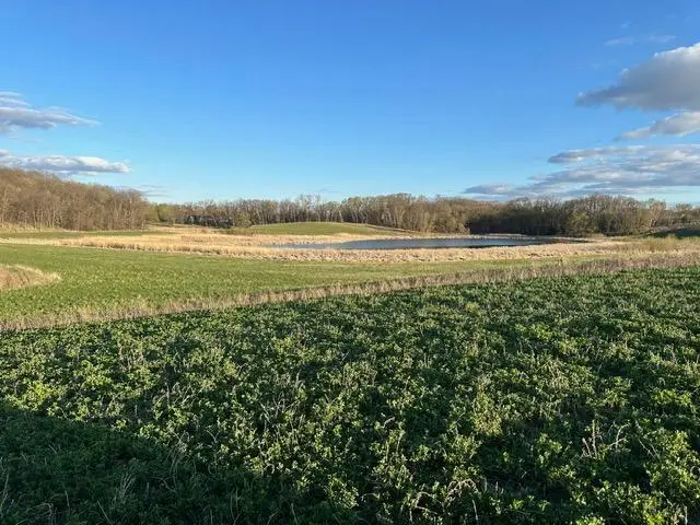 Lot 3 Blk 2 Lakeway Drive, Pelican Rapids, MN 56572 - #1