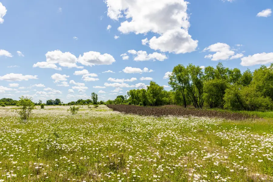 22376 510th Avenue, Minnesota Lake, MN 56068 - Image #3