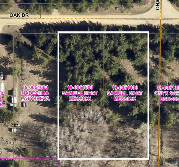 lots 22 & 23 Oak Drive, Browerville, MN 56438
