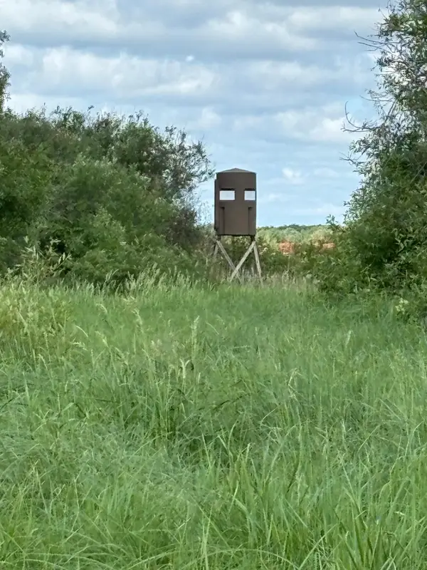 TBD County Road 7, Bagley, MN 56621