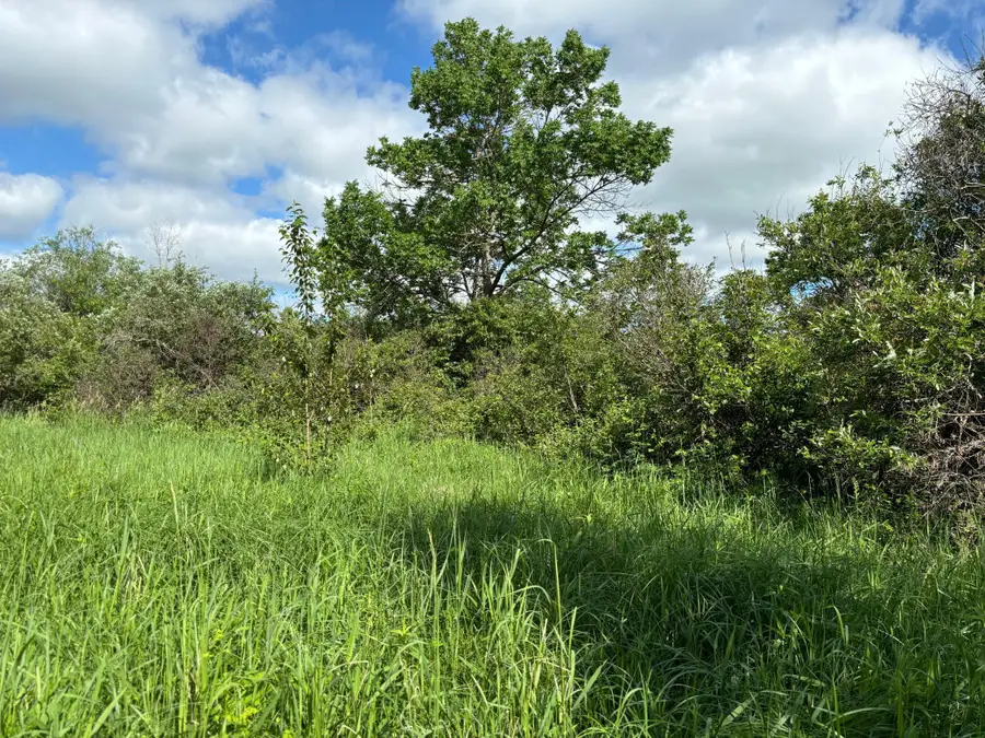 TBD County Road 7, Bagley, MN 56621 - #2