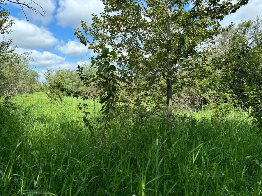 TBD County Road 7, Bagley, MN 56621 - #3