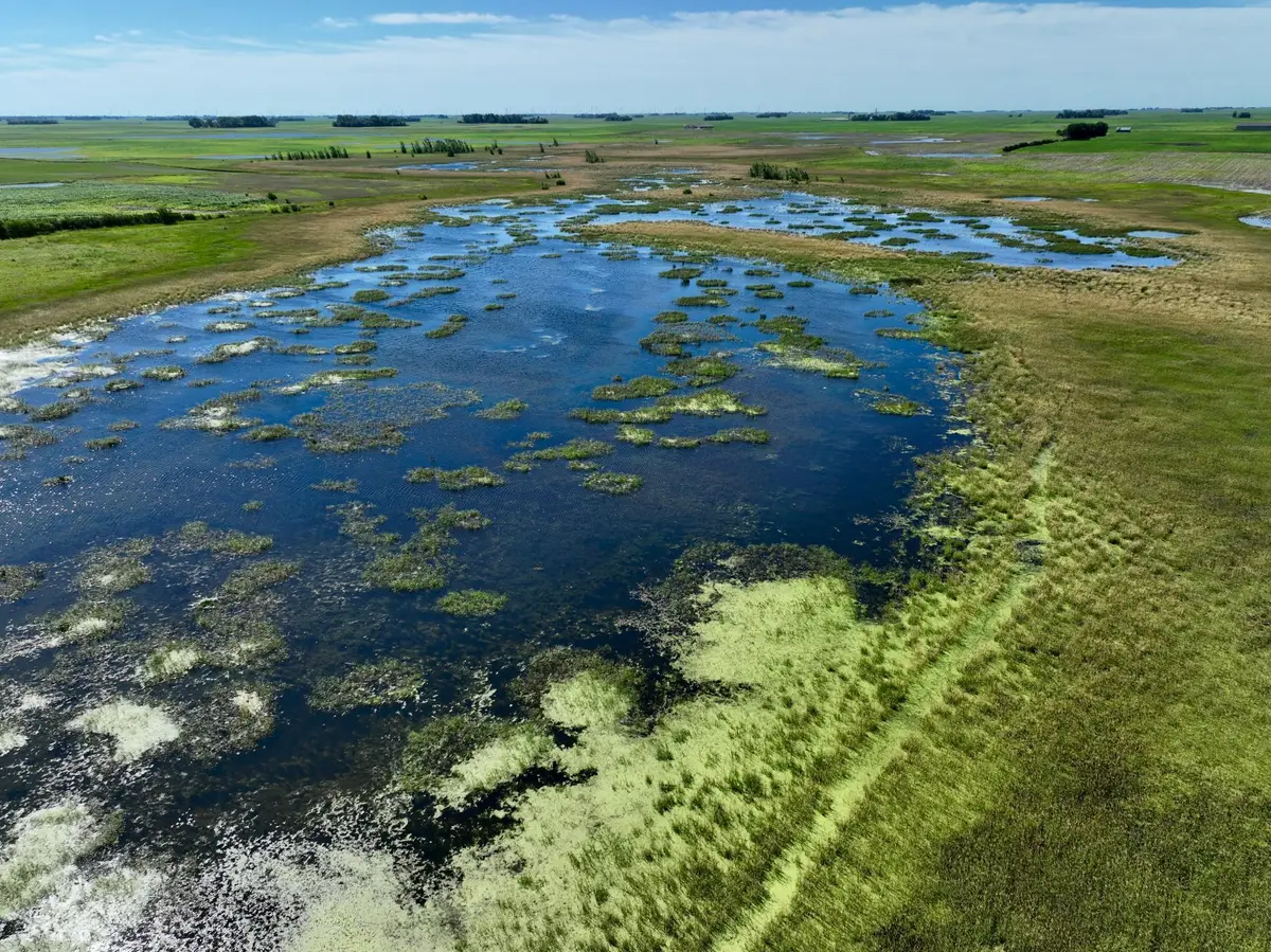 TBD 60th Street, Blue Earth, MN 56013 - Image #1