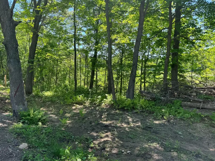 Lot 7+8 Baffie Bend, Kathio, MN 56450 - #2