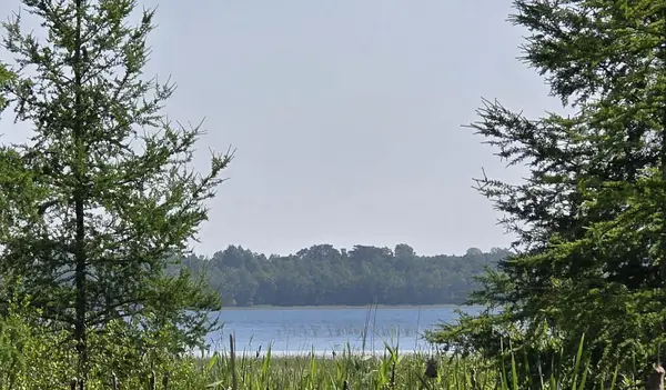 5136 Basswood Lane Ne, Bemidji, MN 56601