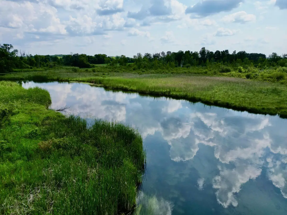 Lot 11 Block 2 River View Trail, Pelican Rapids, MN 56572 - #1