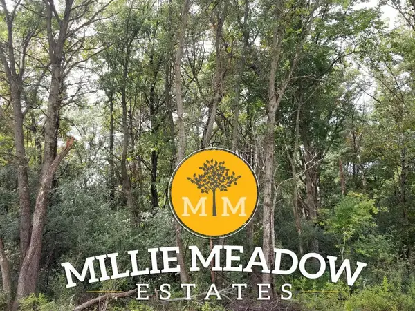4009 Millie Meadow Drive Sw, Rochester, MN 55902