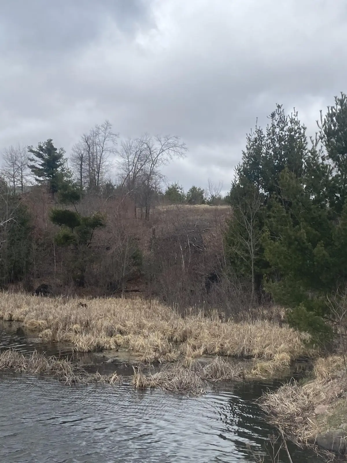 Lot 1 10-7/8 Avenue, Cameron, WI 54822 - Image #1