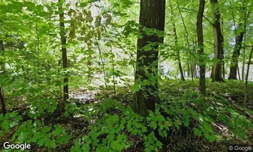 25975 Wild Rose Lane, Excelsior, MN 55331 - Image #1