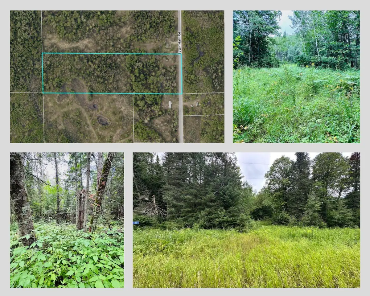 51801 Townhall Road, Squaw Lake, MN 56681 - Image #1