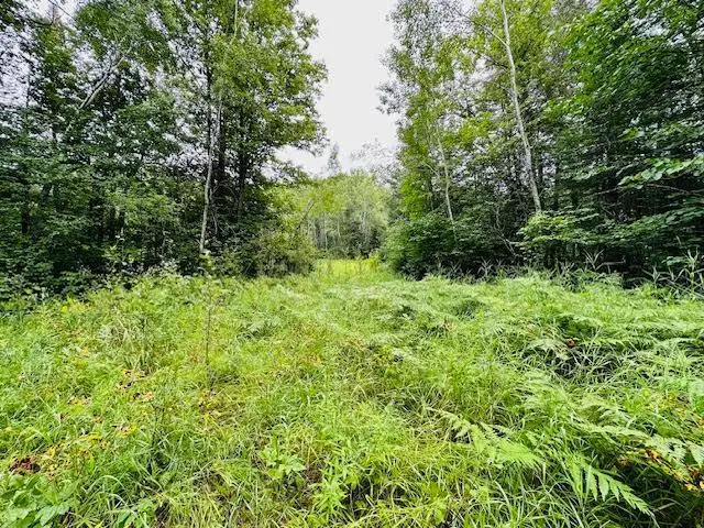 51801 Townhall Road, Squaw Lake, MN 56681 - Image #3