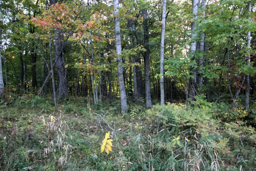 L24 B2 WB16 Scenic Overlook Drive, Breezy Point, MN 56472 - Image #3