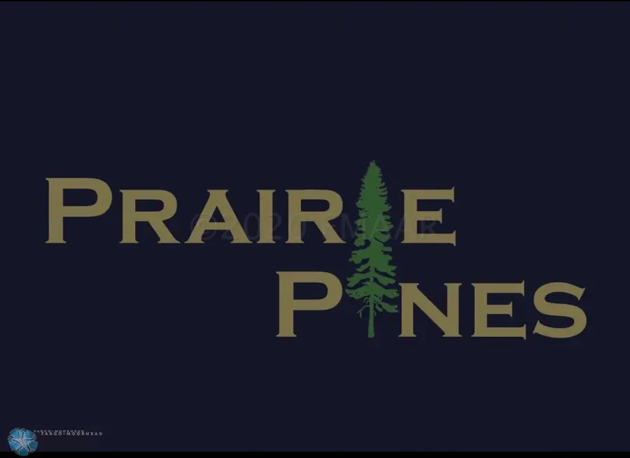 308 Prairie Drive N, Hankinson, ND 58041 - Image #3