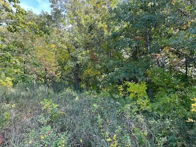 xxxx Woodsmen Lane Sw, Alexandria, MN 56308 - #3