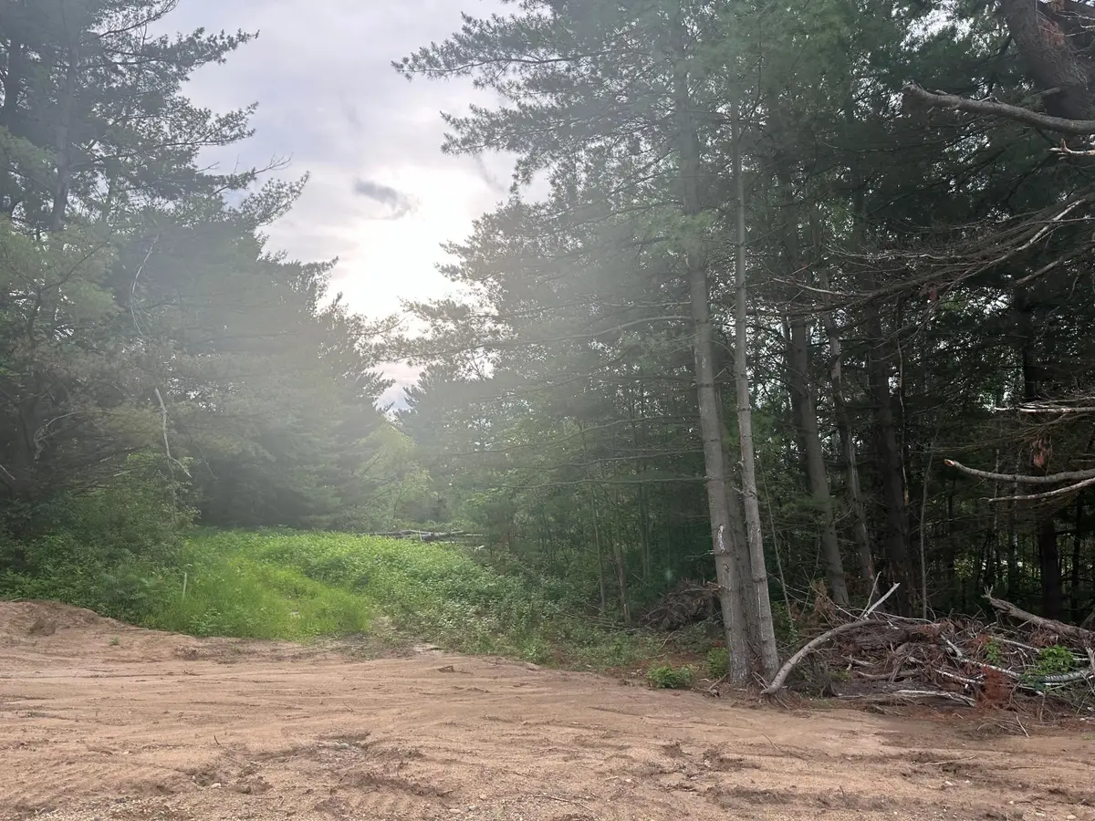 Lot 7 Blk 2 Brummer Drive, Randall, MN 56475 - Image #1