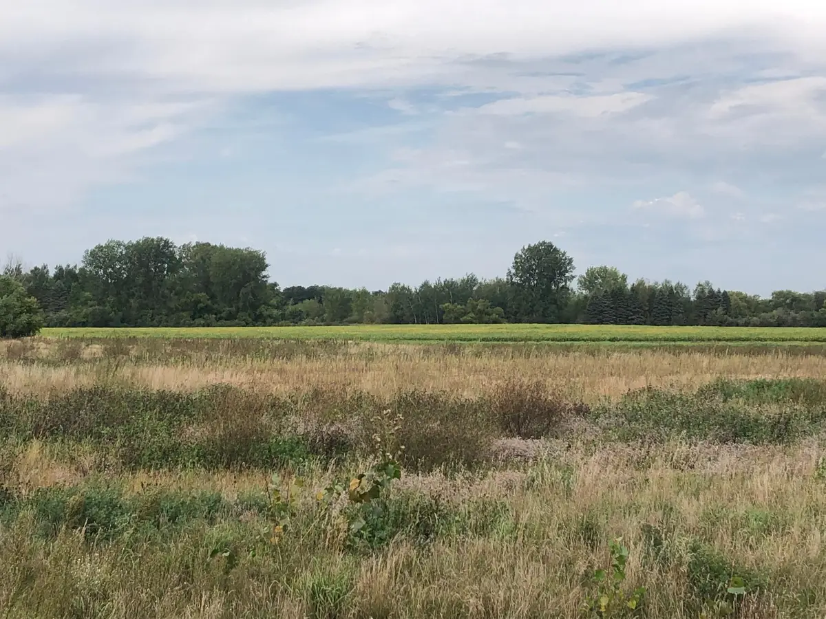 513 Northern Meadows Lane, Sartell, MN 56377 - #1