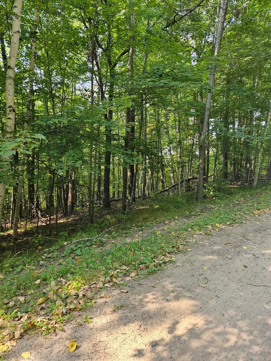 Lots 41-43 Catskill Drive, Breezy Point, MN 56472 - #2