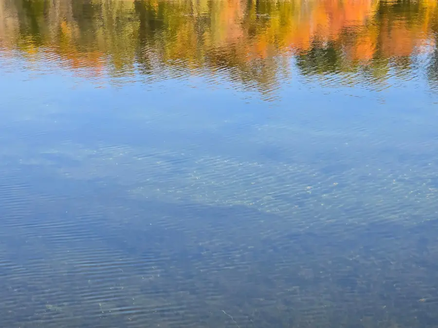 Tract N Blybergs Lane, Pelican Rapids, MN 56572 - Image #3