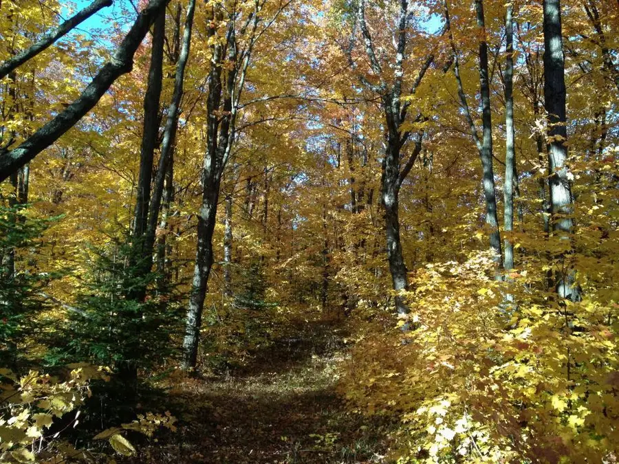 446 Stewart Lake Road, Two Harbors, MN 55616 - Image #3