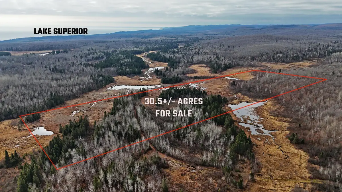 TBD Zekes Road, Schroeder, MN 55613 - Image #1