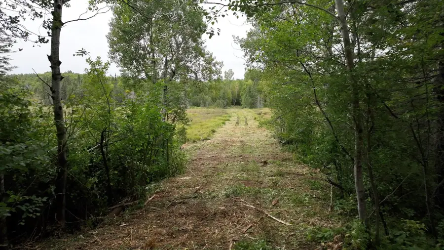 TBD Zekes Road, Schroeder, MN 55613 - Image #3